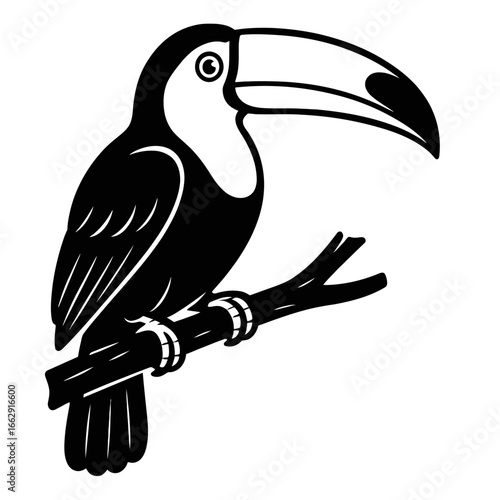 A charming black and white graphic illustration of a toucan perched on a branch, its iconic large beak prominent.