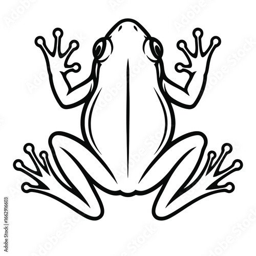 A simple black and white graphic illustration of a frog viewed from directly above, showing its webbed feet and large eyes.