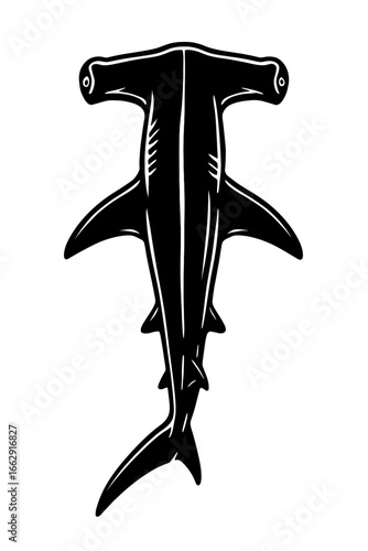 A bold black and white graphic illustration of a hammerhead shark, emphasizing its distinctive head shape and powerful form.