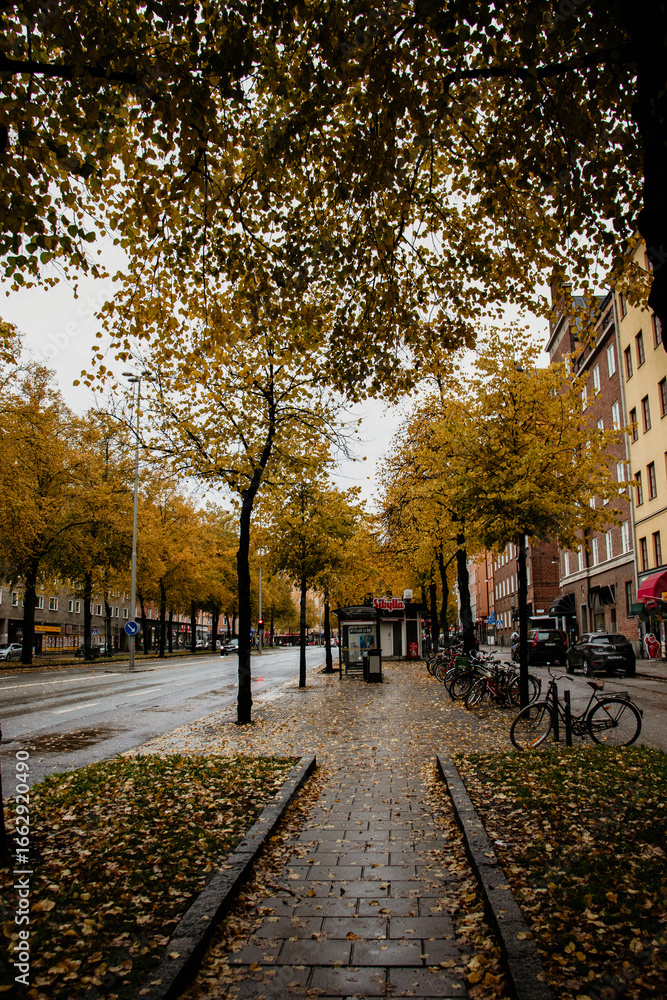 Naklejka premium A quiet city street in Stockholm covered with vibrant yellow leaves on a rainy autumn day. The wet pavement, bicycles, and brick buildings capture the cozy, melancholic mood of fall.