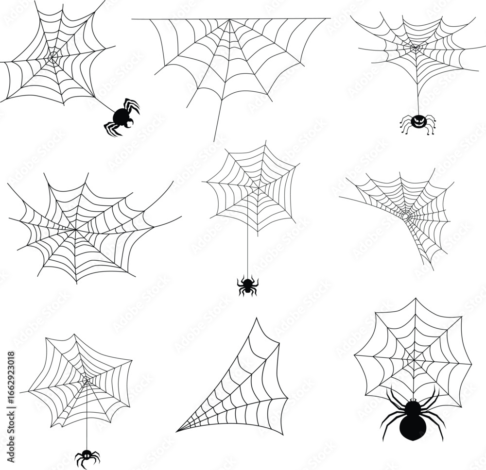 
Spider Web and Spider Silhouette Vector Collection Halloween Set. Black cobweb corner decorations and spiders for Halloween design, horror graphics and spooky themed illustrations