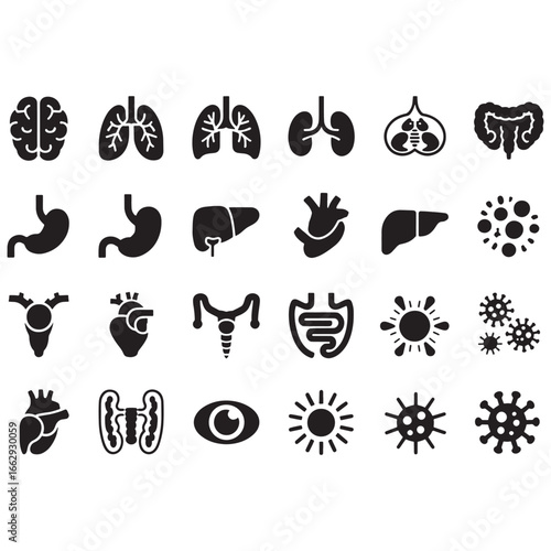A detailed set of simple black icons depicting various human internal organs for medical and scientific presentations, vector illustration