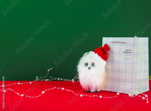 New Year and Christmas owl stands with a gift bag