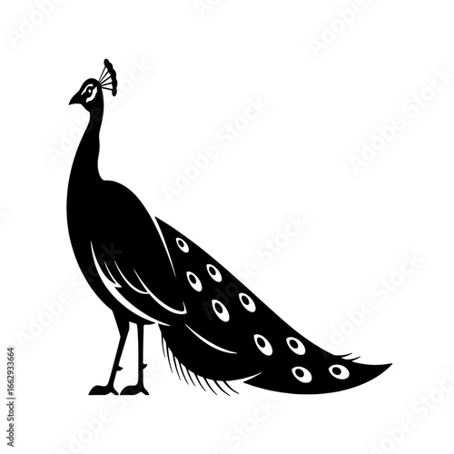 Silhouette of a peacock, showcasing its elaborate tail feathers.