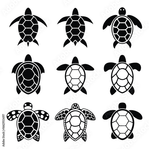 Collection of nine black and white sea turtle outlines showing diverse postures and detailed shells