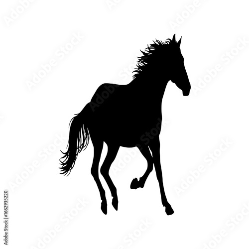 A powerful black silhouette of a horse galloping freely.