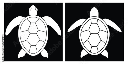 Two white sea turtle outlines with detailed shells against a 