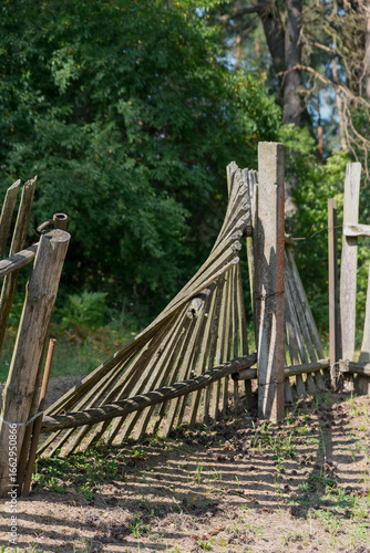A broken fence in the yard with a forest in the background
