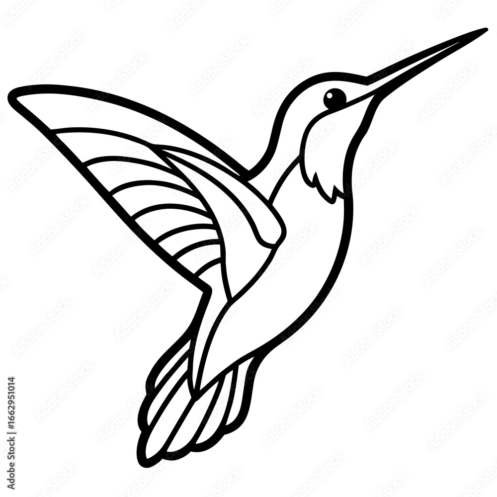 Obraz premium hummingbird vector illustration