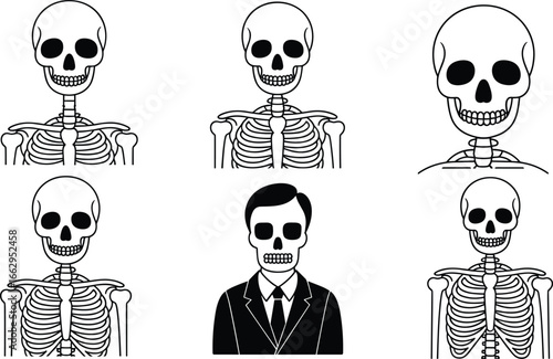 Cartoon skeleton character vector set, human skull and ribcage illustrations, spooky clipart collection, Halloween design elements, anatomy and horror themed icons