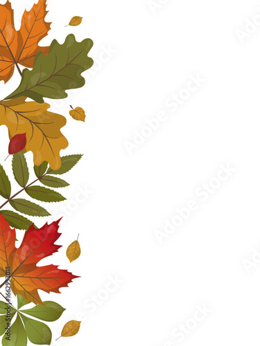 Vector illustration featuring a vertical arrangement of colorful autumn leaves on a white background. The leaves display vibrant fall colors, showcasing a seasonal theme.