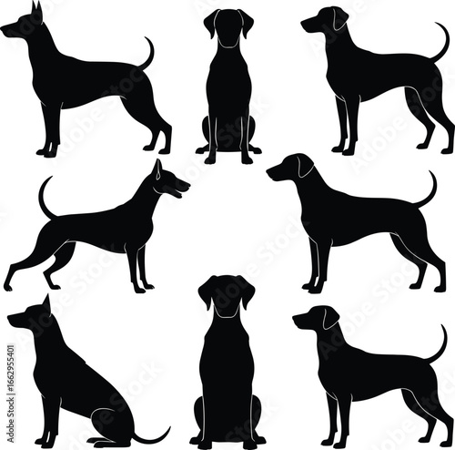 Vector silhouettes of dogs in standing and sitting poses, domestic pet animals, black outline illustration, canine shapes for design use