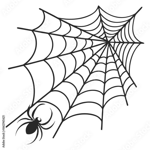 
Spider web wallpaper