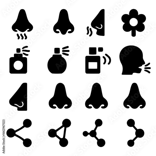 Senses and Aromas: a visual exploration of the olfactory experience, illustrated by a series of symbolic icons.