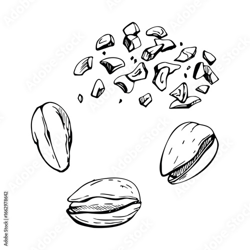 Pistachio cracked shells and kernels, scattered crushed nuts for ice cream topping. graphic illustration hand drawn in vector ink. Health food brochures, deli packaging, food truck or cafe collateral