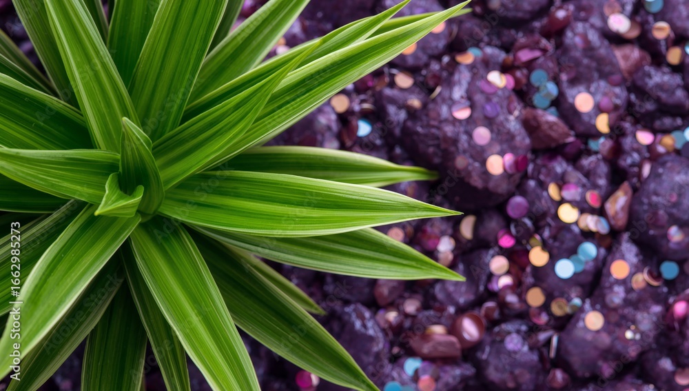 Fototapeta premium Striking Contrast. Green Leaves Against a Dark, Glittering Rocky Surface.