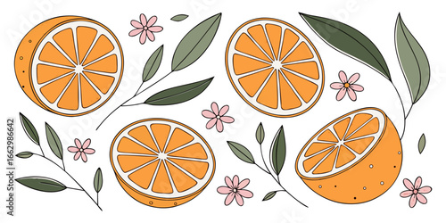 A flat lay arrangement of fresh orange slices and whole oranges on a clean white background. The orange slices are vibrant and juicy, arranged in a scattered, aesthetically pleasing pattern. Some of t
