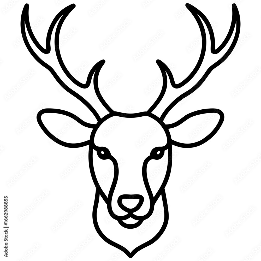 Fototapeta premium head of a deer