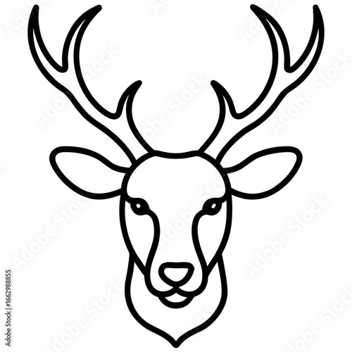 head of a deer