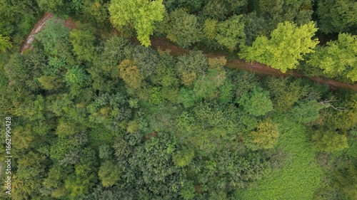 Neuer Wald an einem alten Industriehafen im Ruhrgebiet 