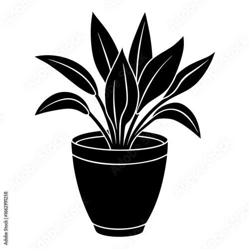 vector illustration of a plant