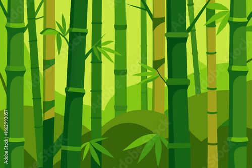 bamboo background vector