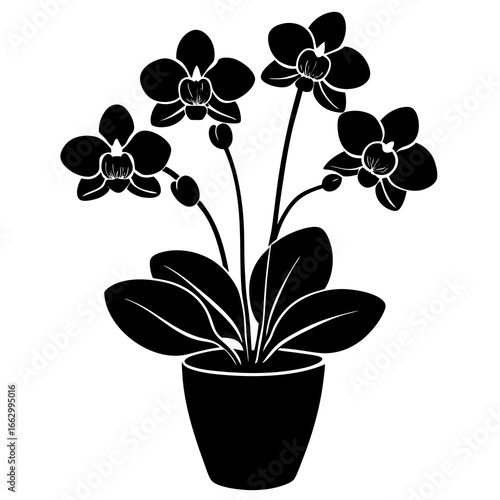 flowers in a pot