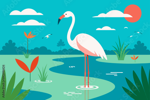 flamingo in the water
