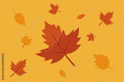 autumn maple leaves