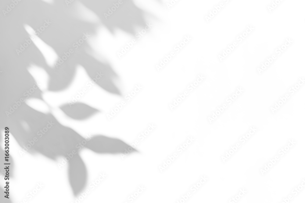 Obraz premium shadow overlay effect of natural tree leaves shadow over on white wall background,realistic summer sunlight abstract shadow overlay,branches and leaves shadow on transparent png background