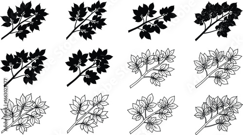 Tree Branches Silhouette