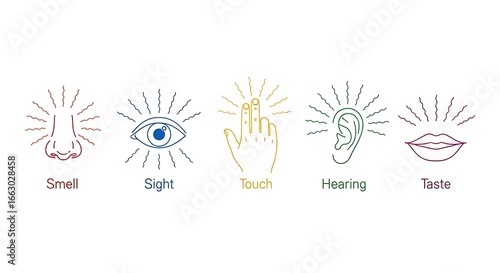 Five Senses Icons Smell Sight Touch Hearing Taste With Wavy Lines And Labels image photo