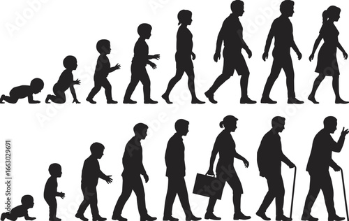 Silhouette of human growth stages from baby to elderly, aging process illustration, life cycle evolution of male and female in vector style
