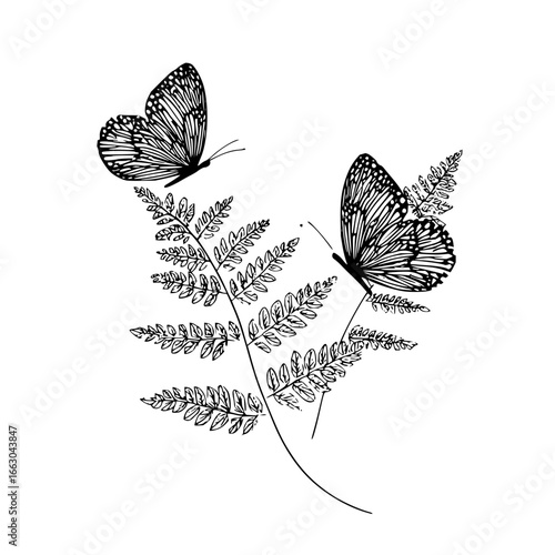 Black and white butterfly fern line art illustration for nature lovers and tattoo design inspiration art 100