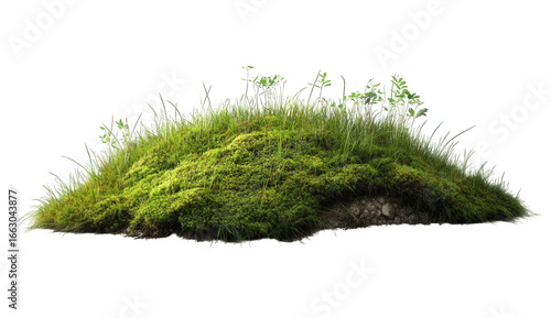 Small green mossy hill with grass and sprouts isolated on transparent background