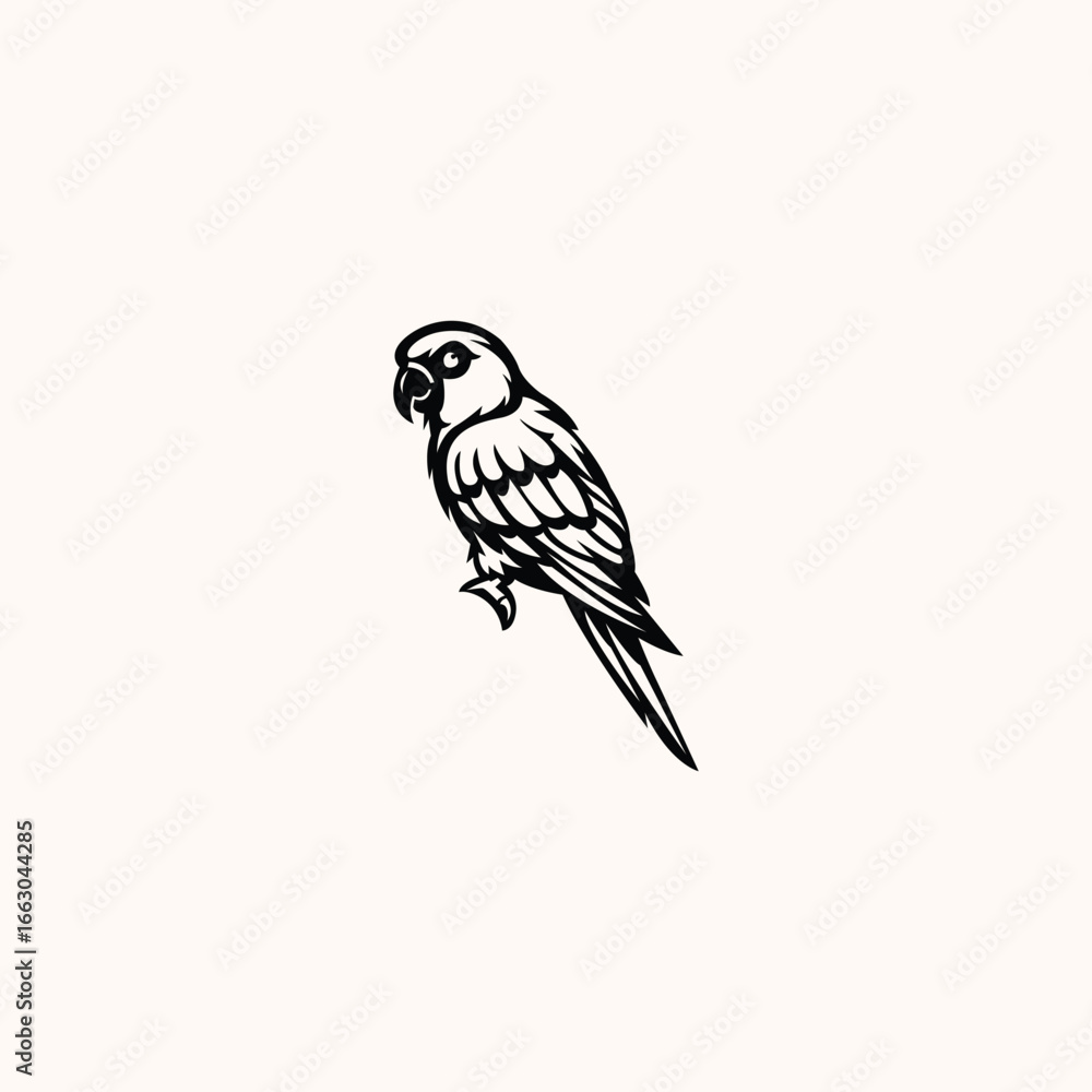 Obraz premium Parrot Bird Vector Graphic Illustration Isolated
