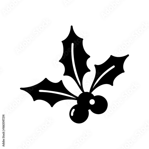 Festive holly branch silhouette with berries and spiky leaves on white