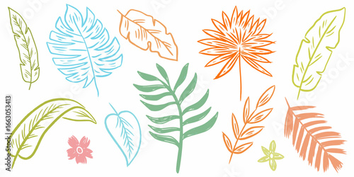 Hand drawn palm leaf hand drawn crayon brush vector illustration. Abstract tropical foliage set