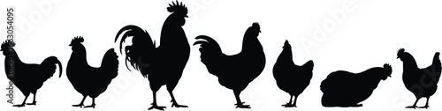 Silhouettes of chickens and roosters in different poses, poultry farm animals vector, black hen and rooster clipart icons