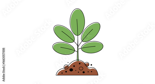 A young plant sprouts from rich soil growing with new leaves showing vibrant green color