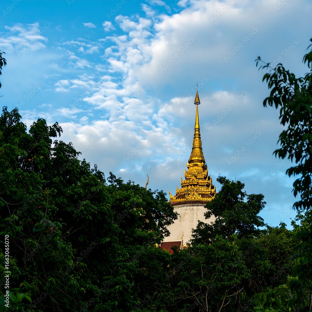 Naklejka premium Golden spire piercing through the trees