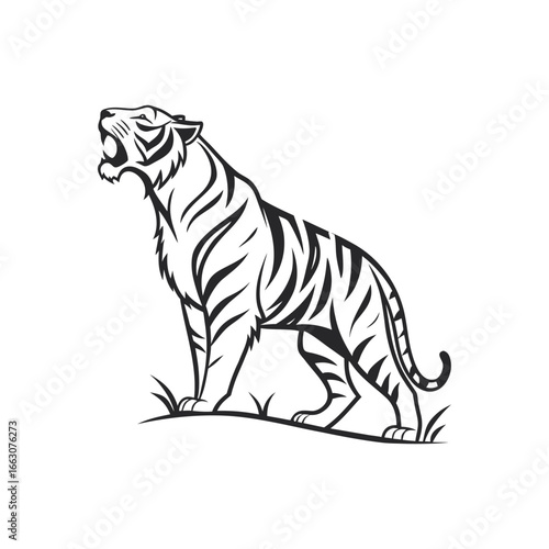 Tiger silhouette vector line art illustration for coloring book
