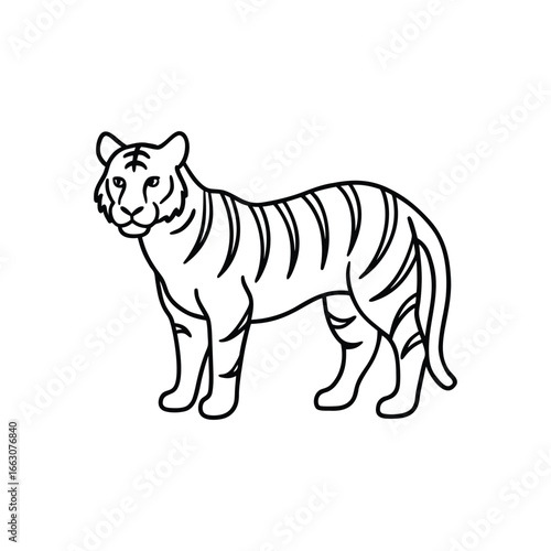 Tiger silhouette vector line art illustration for coloring book