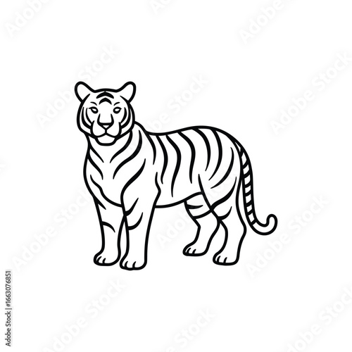 Tiger silhouette vector line art illustration for coloring book
