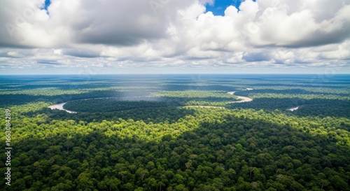 Aerial View of Amazon Rainforest with River and Clouds