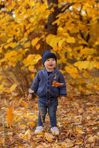 Obraz na płótnie A little boy of 1 year old plays in warm clothes and a hat in an autumn park and yellow autumn leaves fall on him