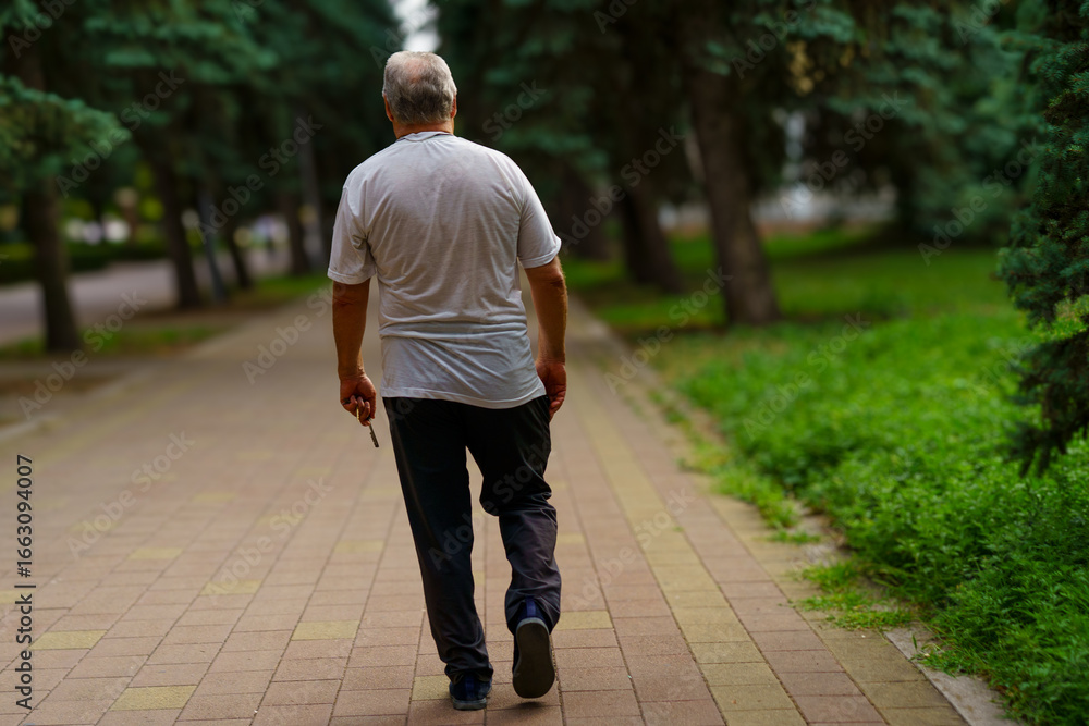 Fototapeta premium Man walking alone in a park pathway surrounded by trees in a serene afternoon setting