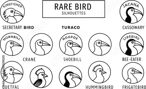 Collection of hand drawn rare bird illustrations with labels
