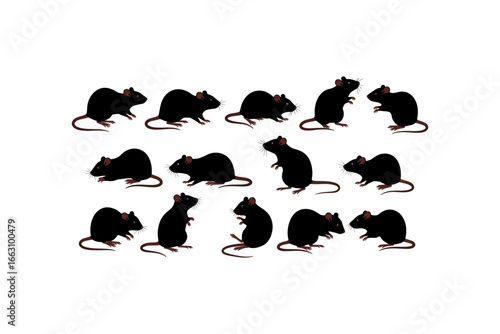 Fifteen black rats contrasted against a white background. Ideal for pest control, rodentrelated designs, or educational materials on rodents.