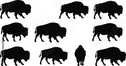 Multiple bison silhouettes in various walking positions, wild animal herd, buffalo strength, nature wildlife, American bison, powerful mammal, outdoors, grazing.